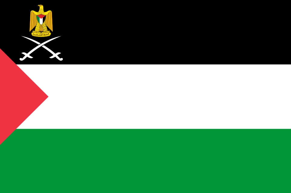 P_flag